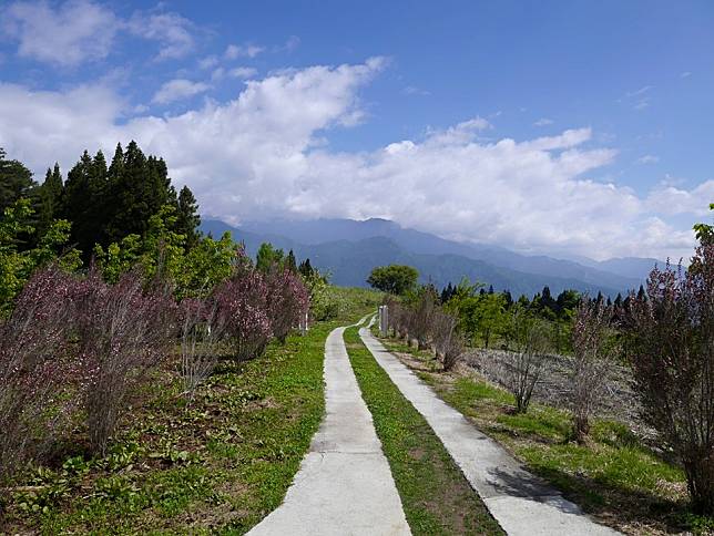 福壽山農場景色優美。 （中華旅行社提供）