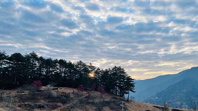 福壽山農場（圖片來源/LINE熱點用戶）