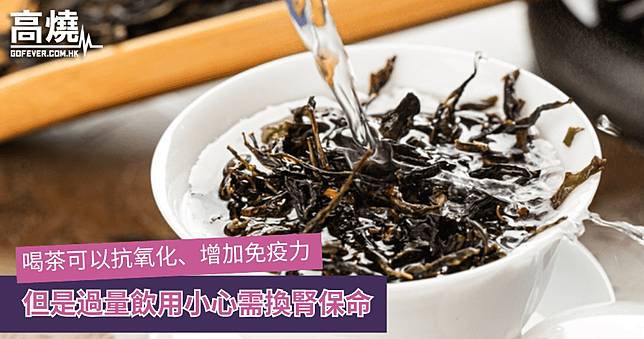 【茶】喝茶可以抗氧化、增加免疫力 但是過量飲用小心需換腎保命