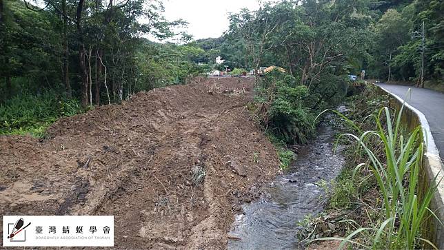 內文溪河道旁植被遭到破壞。圖片來源：台灣蜻蜓學會提供