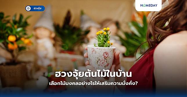 ฮวงจุ้ยต้นไม้ในบ้าน: เลือกไม้มงคลอย่างไรให้เสริมความมั่งคั่ง?