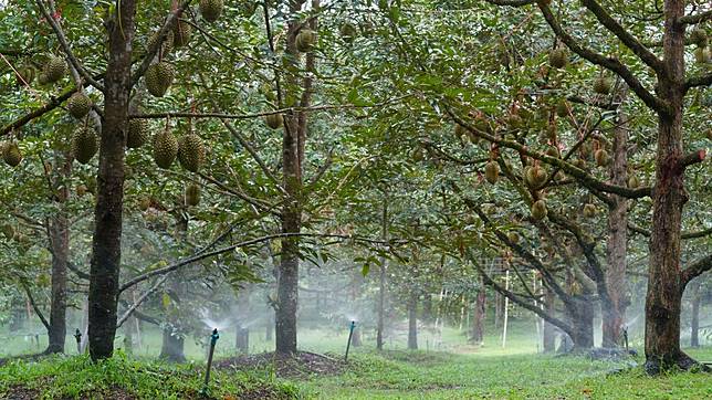 ภาพไฮไลต์