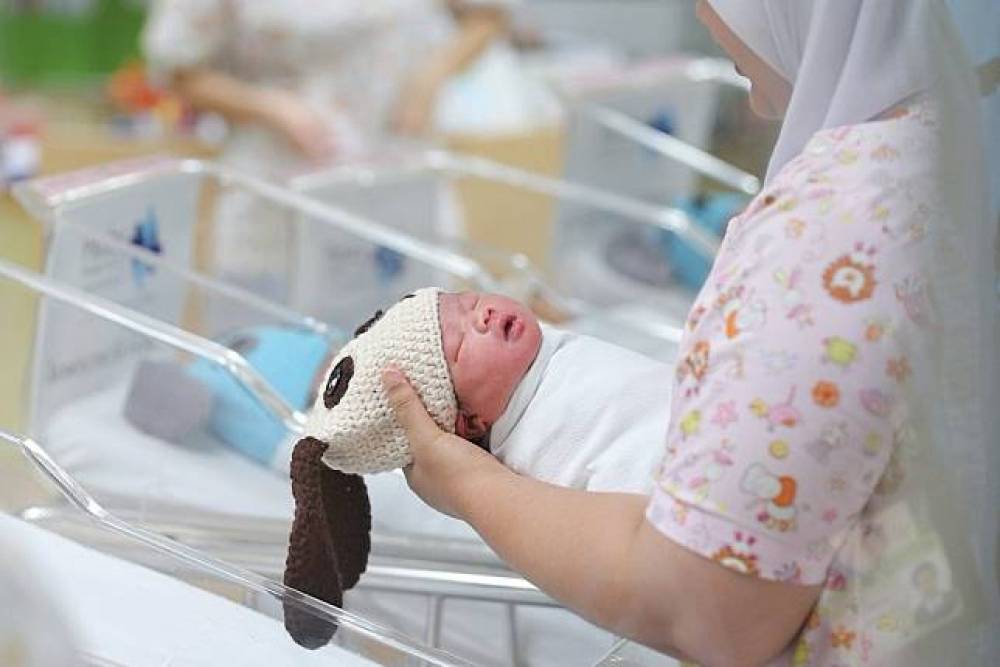 【代孕拚合法】反同婚、反性平教育團體再出征 喊子宮「翻土」有害身心 | 上報 | LINE TODAY
