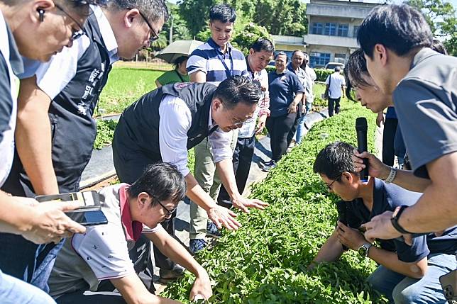 桃園市副市長蘇俊賓觀摩環保農膜示範區。（桃園市府新聞處提供）