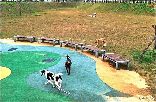 桃園市現有七座寵物公園，設有簡易的寵物遊樂設施。(記者謝武雄攝)