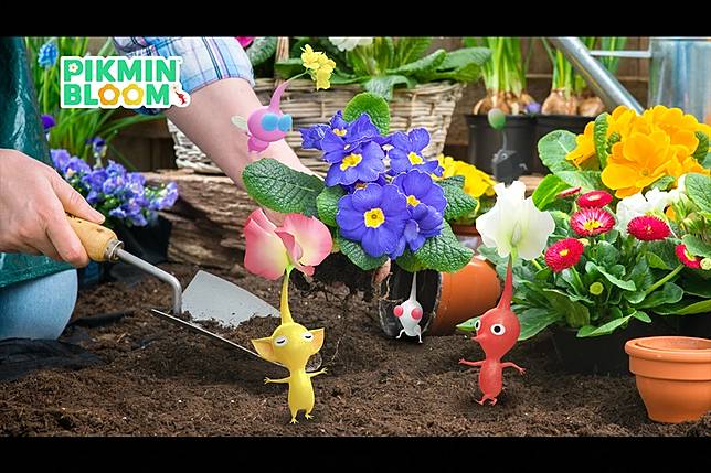 （圖片來源：《Pikmin Bloom》）