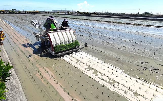 想到除草就飽了？來試試「紙膜」！耕作鋪膜一次搞定，水旱田都能用，可自然分解