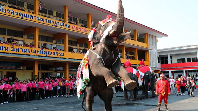 2019年12月23日，泰國曼谷北部大城府一所學校慶祝聖誕節間，被披上聖誕裝飾的大象在校內表演。示意圖，非本文事件中的大象。美聯社