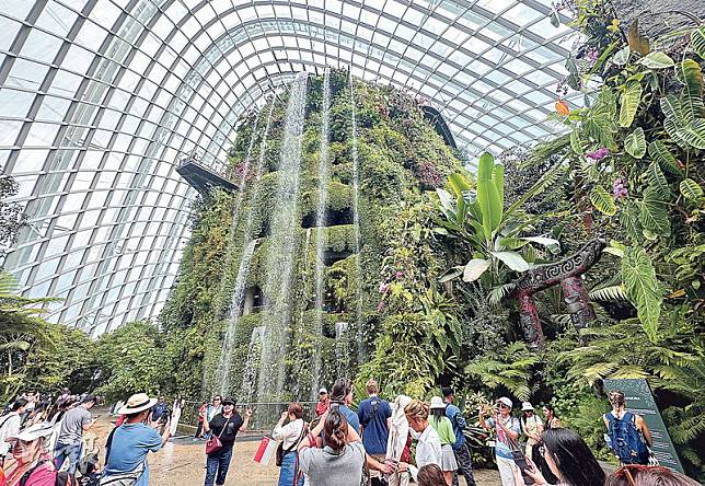 一踏進雲霧林（Cloud Forest），35米高室內瀑布呈現眼前，兩旁植物鬱鬱葱葱，是遊人打卡指定位置。（鄭寶華攝）