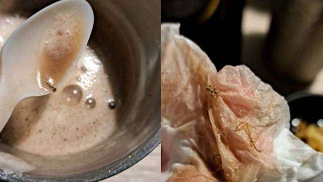 有民眾在連鎖火鍋店喝冰沙時，發現蟑螂蹤跡。翻攝自爆料公社
