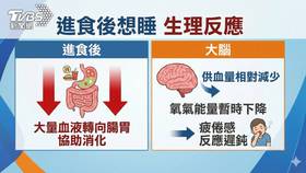 餐後嗜睡常發作要注意！醫師：注意這「五大原因」　恐引發「這疾病」... (圖/TVBS)
