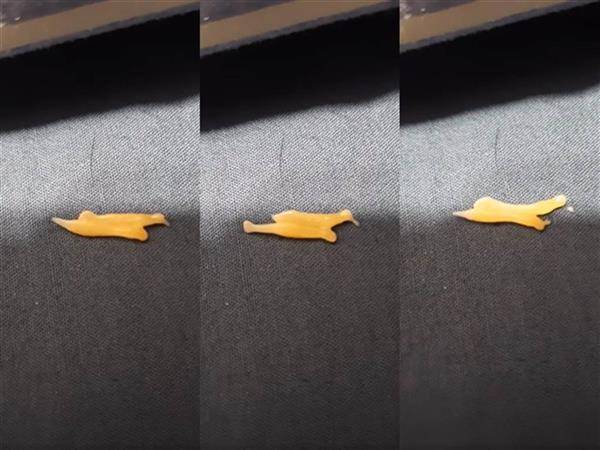 網友驚見床上有一坨會蠕動的黃色生物，懷疑是從愛犬體內掉出。（圖片來源／爆廢公社公開版 臉書）