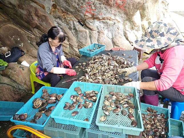 新北推貢寮鮑料理   7家餐廳消費有優惠   美味及利潤與民眾分享