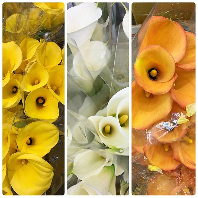 圖片來源：LINE熱點