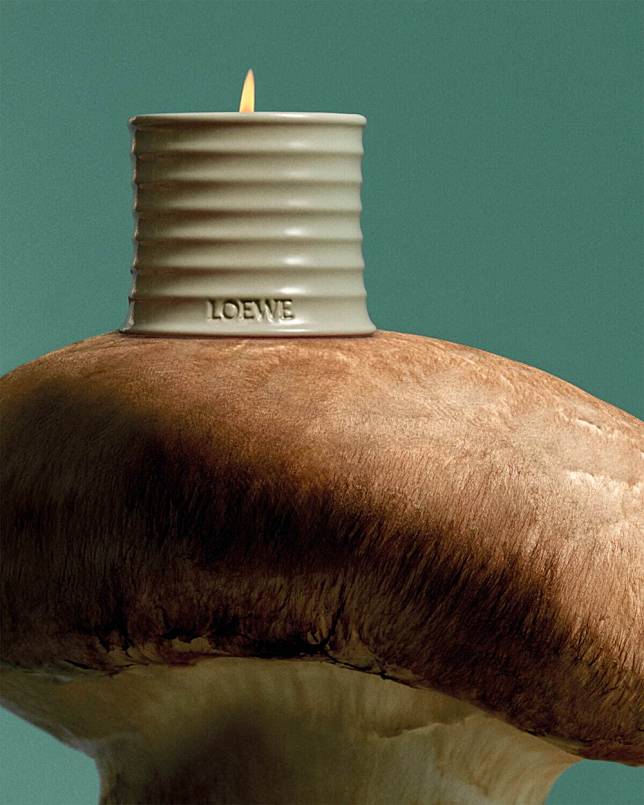 LOEWE的「Home Scents」系列蘑菇