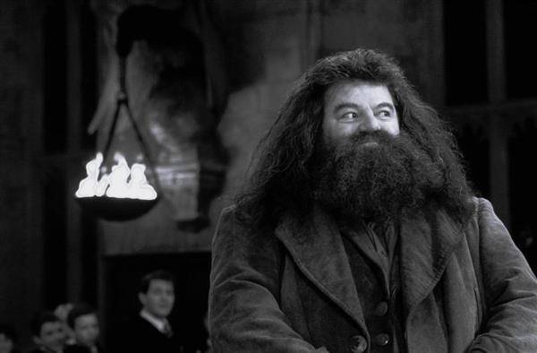 資深演員羅比寇特蘭（Robbie Coltrane）過世。翻攝IG@Harry Potter