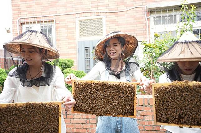 莎莎（左起）、康茵茵挑戰拿蜂巢。緯來提供