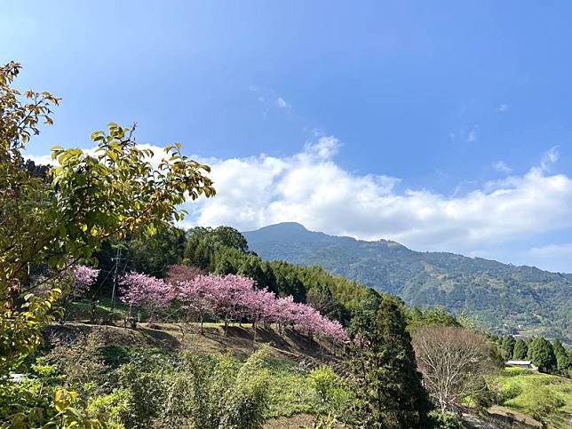 新竹縣五峰鄉桃山村旅遊軸線環境營造計畫獲交通部觀光局核定補助，將重新整合122縣道觀光旅遊軸線景觀設施及資源，盼透過休憩節點入口特色營造及基礎設施升級等，提升觀光環境。（新竹縣政府提供）中央社記者郭宣彣傳真 111年7月8日  
