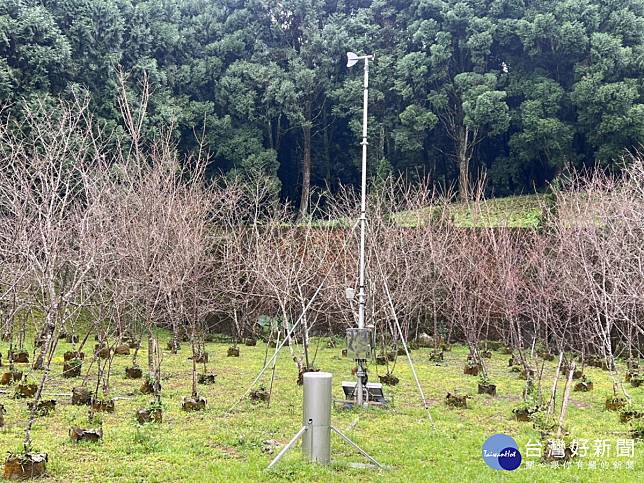 中央氣象署在九族文化村觀山樓苗圃設置的臨時氣象站。