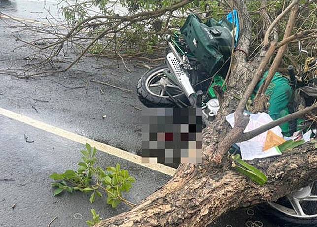 彰化一名女郵差執勤時被倒塌的路樹砸死，中華郵政將從優撫卹。（圖：民眾提供）