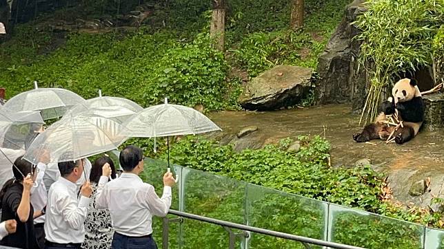 李家超7月到四川到訪中國大熊貓保護研究中心都江堰基地（資料圖片）