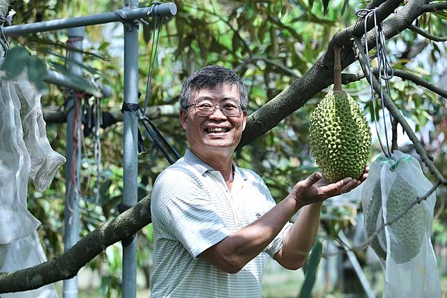 全球榴槤貿易 20 年翻 10 倍，中國搶果讓台灣榴槤崛起，完熟美味，農民：好顧、高收入