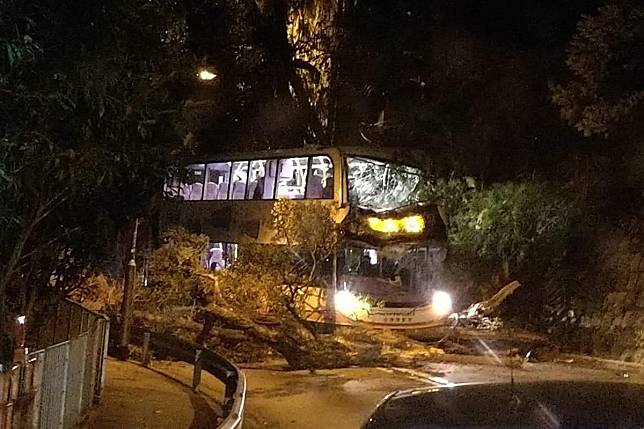 山頂道有塌樹擊中巴士。(網上圖片)