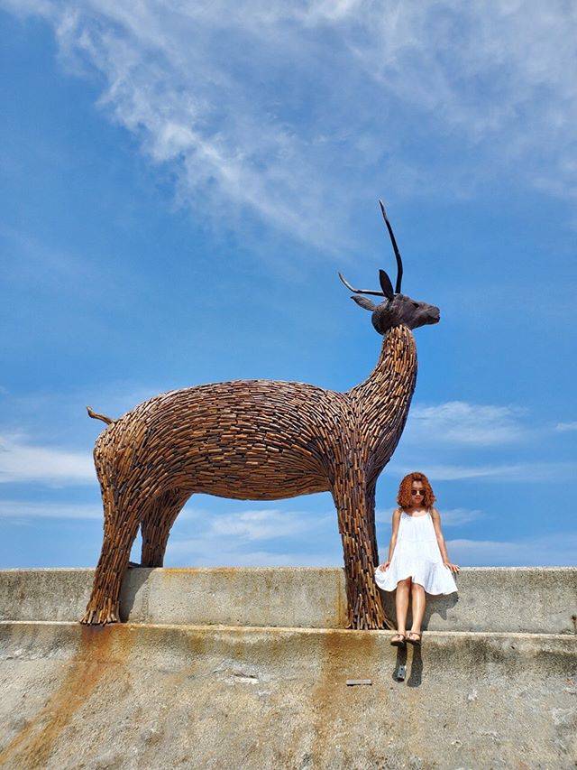 圖片授權：IG @dodopei519