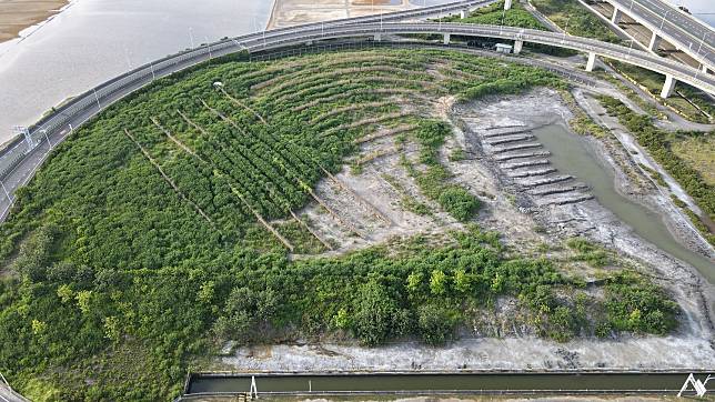 目前綠美化基地的苗木生長及綠覆情況良好，未來成功營造環境保護林可期。   圖：農委會林業試驗所／提供