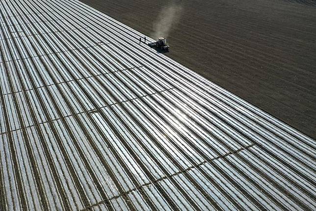 A drone photo shows a self-driving seeder working in the farmland in Awat County of Aksu, northwest China's Xinjiang Uygur Autonomous Region, March 27, 2024. (Xinhua/Ding Lei)