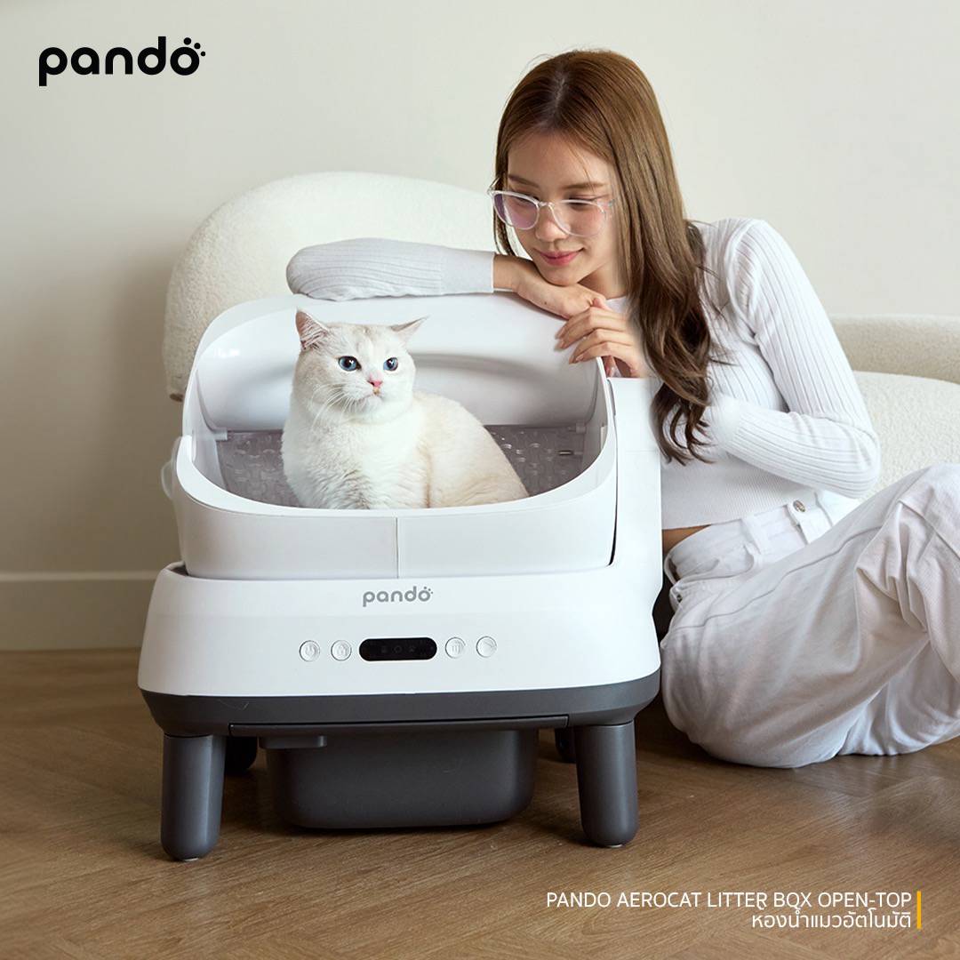 pando ประกาศรีแบรนด์ครั้งใหญ่ในรอบ 5 ปี | INN News | LINE TODAY