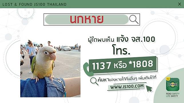 นกหาย ไปจากที่พักภายในราชวิถีซอย 16 ผู้ใดพบเห็นแจ้ง JS100 โทร. *1808 หรือ 1137