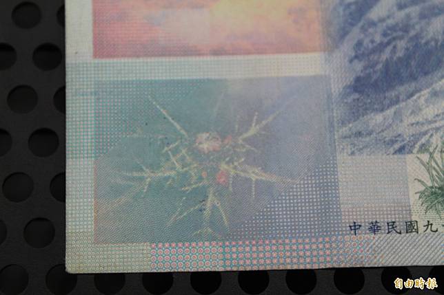 央行曾指出千元大鈔背面左下角的圖案，是台灣特有植物「玉山薊」，但國立中興大學研究團隊指出，這種植物應該是台灣新的特有種「塔塔加薊」。(資料照)