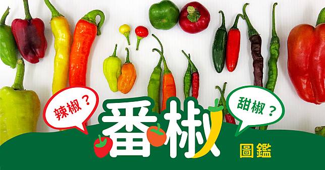 【番椒圖鑑】辣椒是甜椒的祖先？甜椒小時候是青椒？打開番椒家族的繽紛族譜