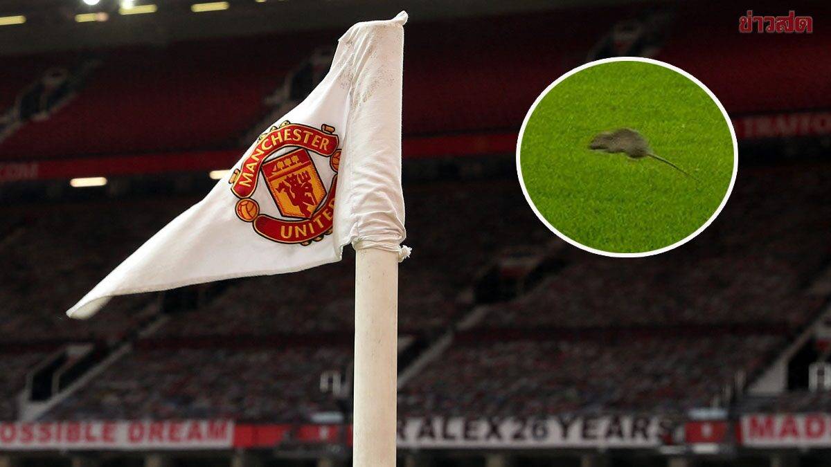 Manchester United’s Old Trafford Rat Infestation: Rodents Invade Field and Stands (Video)