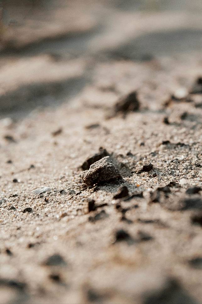 pexels-molnartamasphotography-12245141