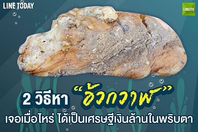 ภาพไฮไลต์