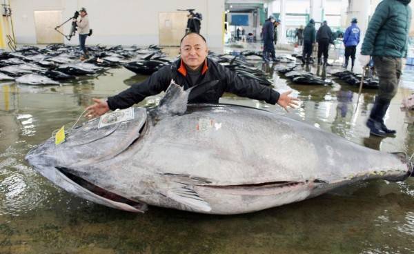 47歲的船長大橋勇次與破紀錄的450公斤超大型黑鮪。(圖擷自《產經新聞》)