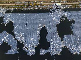 ▲地方組冠軍陳銘修-丹娜絲缺口