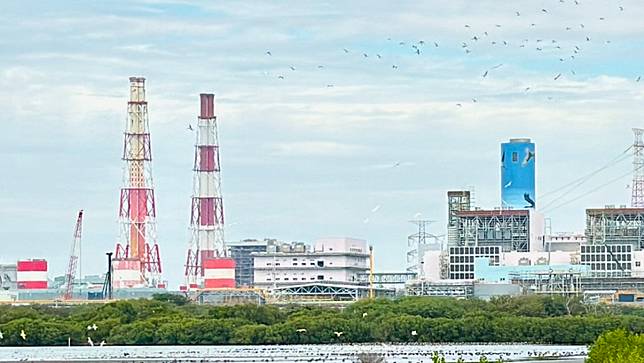 台電投入高雄永安濕地保育逾10年，透過科學化管理，結合水位調控技術，將濕地打造為適合鳥類棲息地。台電提供
