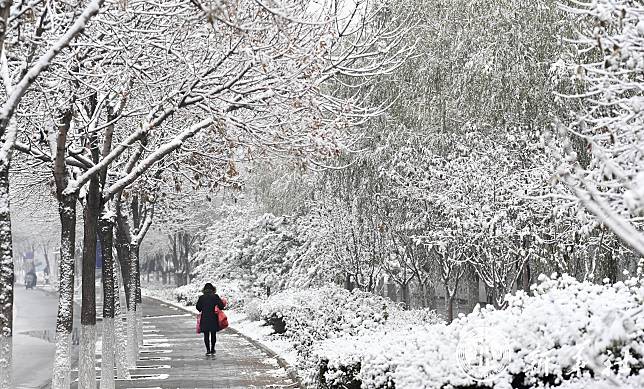 จีนเตือนภัย ‘พายุหิมะ’ ปกคลุมตอนเหนือ