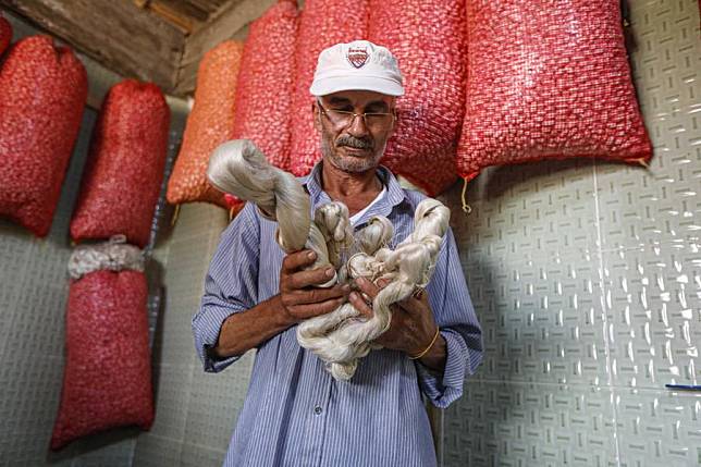 A man shows silks at a collection site at Nagaa Awni village in Beheira governorate, Egypt, on Sept. 7, 2024. (Xinhua/Ahmed Gomaa)