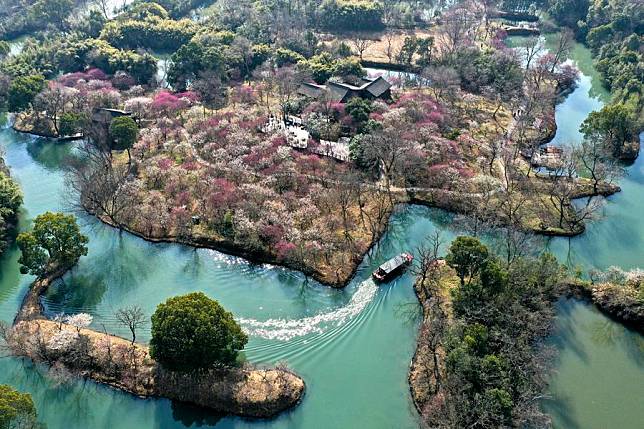 An aerial drone photo taken on Feb. 18, 2025 shows a sightseeing boat at the Xixi National Wetland Park in Hangzhou, east China's Zhejiang Province. (Xinhua/Huang Zongzhi)