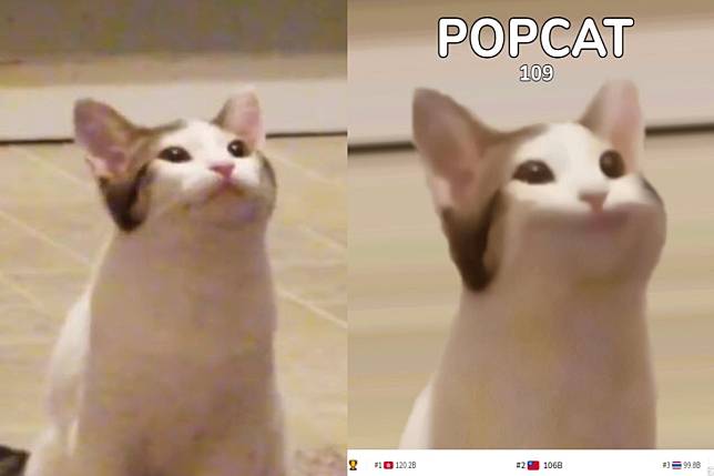 是你！迷因貓「Popcat」風靡全球　竟是出自奴才惡搞之手？