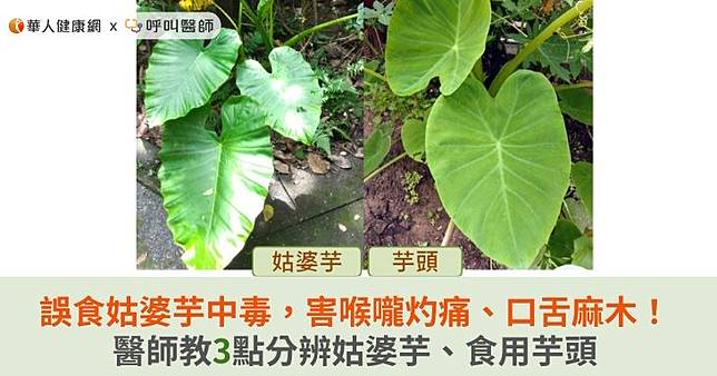（圖片提供／大千綜合醫院）