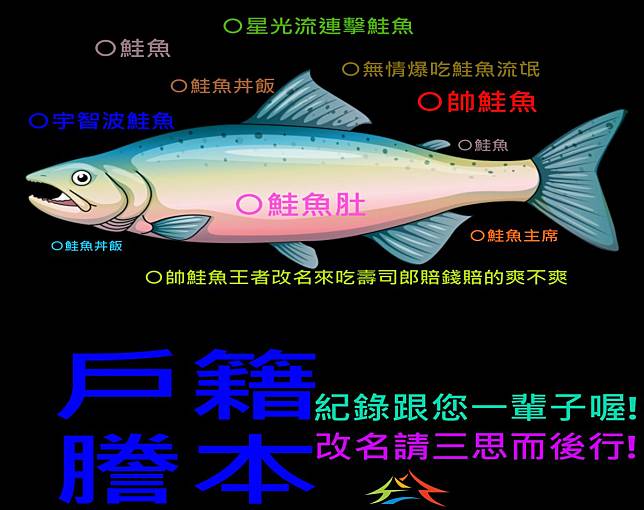 「張鮭魚之夢」有救了　台中市府出面解套