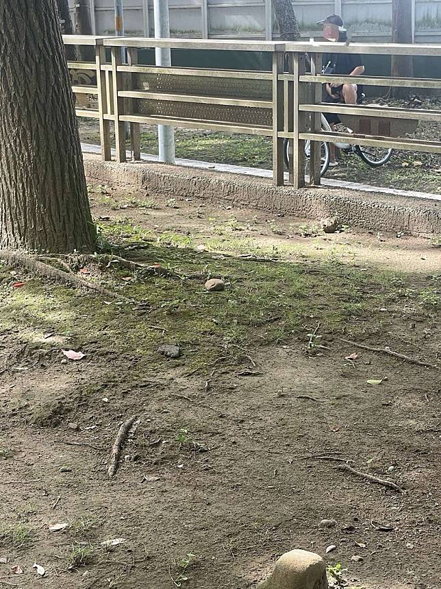 女網友表示，自己在桃園區三民運動公園遇到一名阿伯，當眾作出「打手槍」的猥褻動作。圖：讀者提供