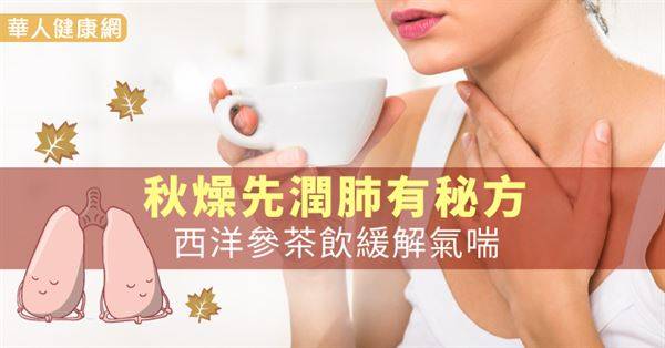 秋燥先潤肺有秘方　西洋參茶飲緩解氣喘