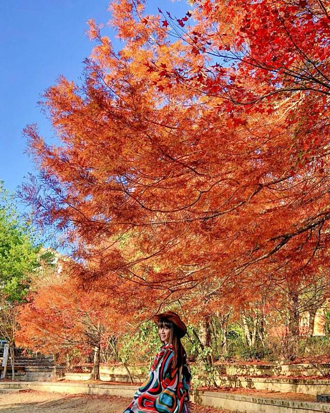 圖片授權：IG @oceanko_ko