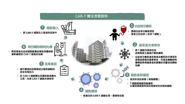 CAR-T療法流程說明／圖片來源：長庚醫院提供